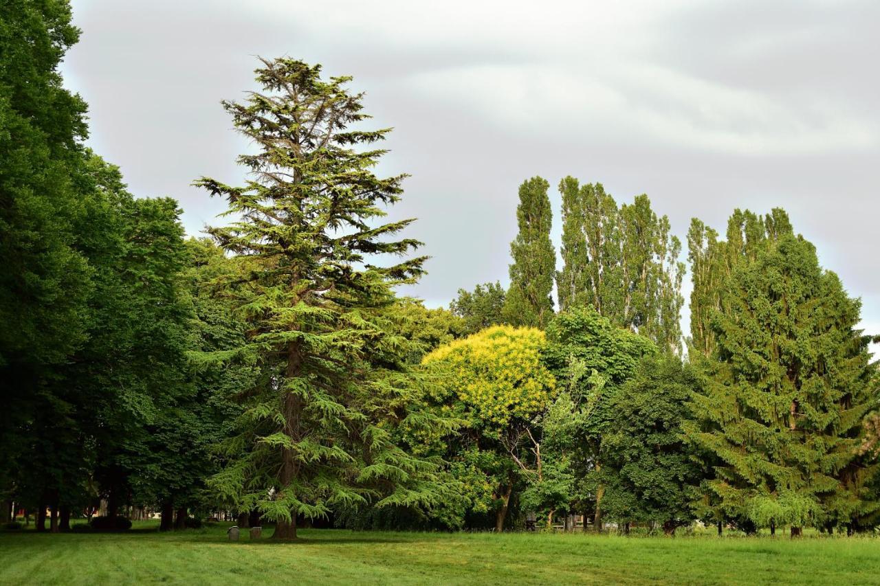 Villa Iachia Ruda Dış mekan fotoğraf